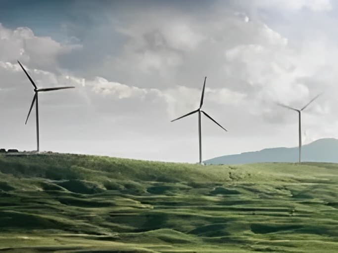 Sustainability, Climate Mitigation and Adaptation